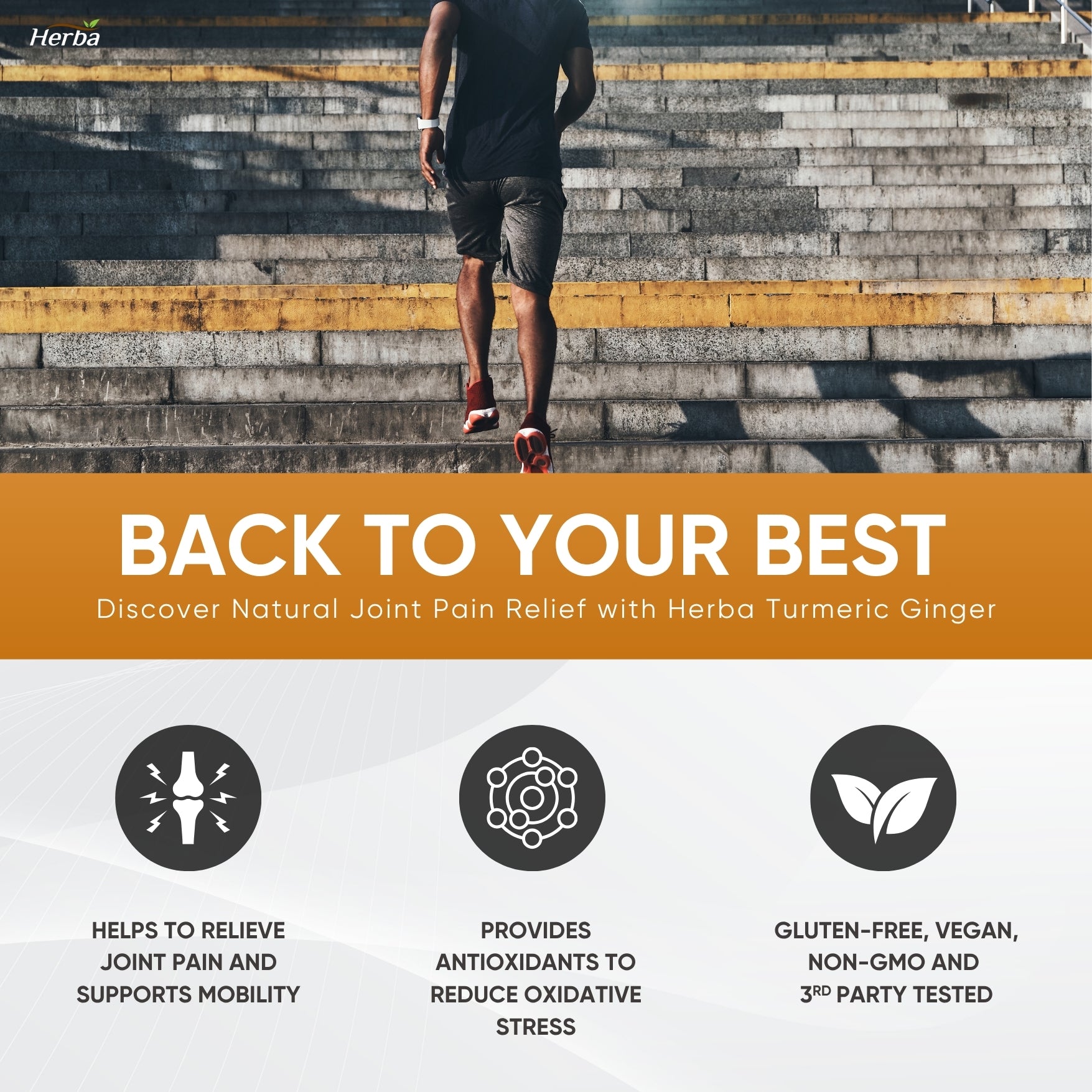 강황 생강 피퍼린 5555mg - 180캡슐 | 캐나다산