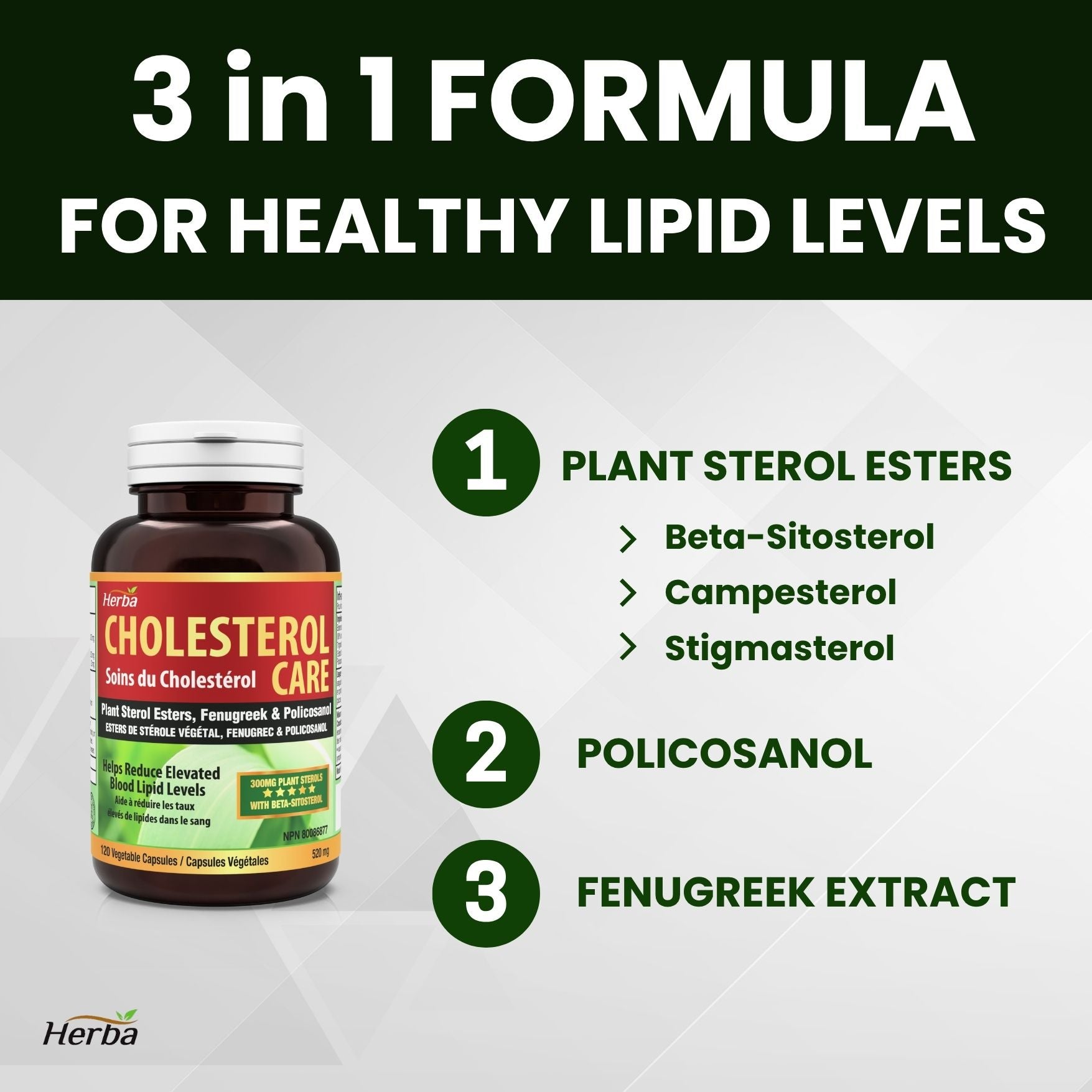 콜레스테롤 케어 120캡슐