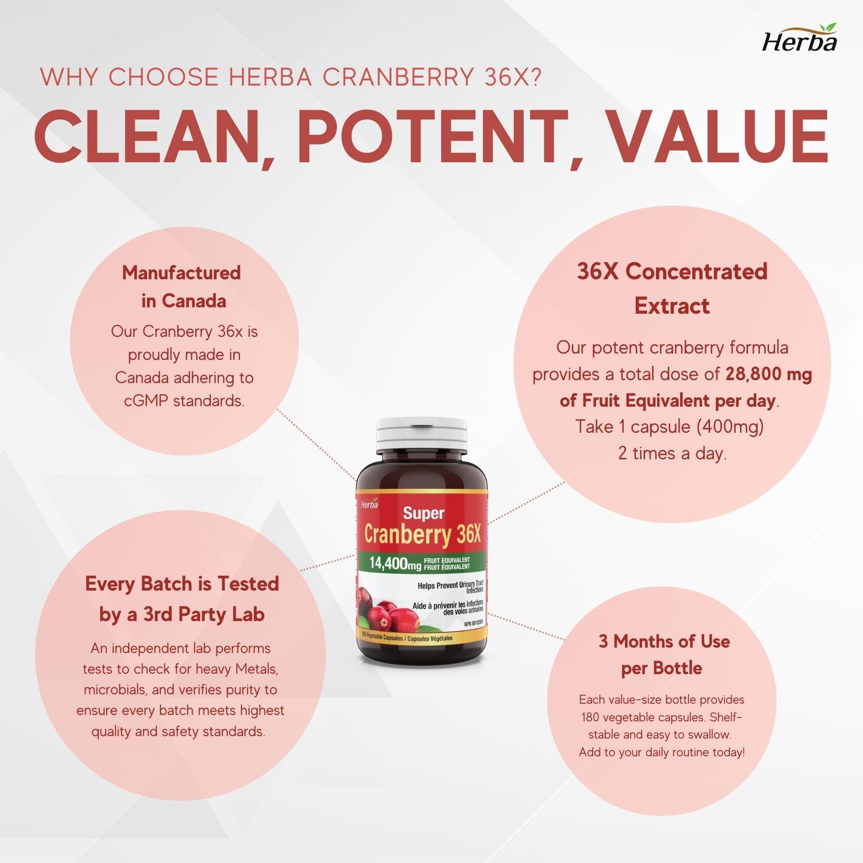 캐나다산 크랜베리 180비건캡슐 36배 농축 하루 섭취량 28800mg