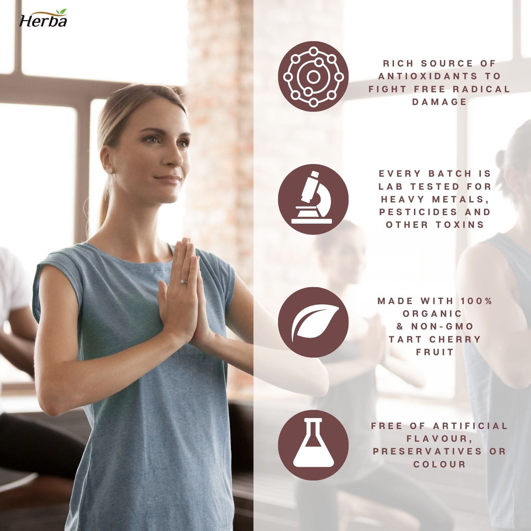 100% 유기농 몽모랑시 타트체리 파우더 – 150g