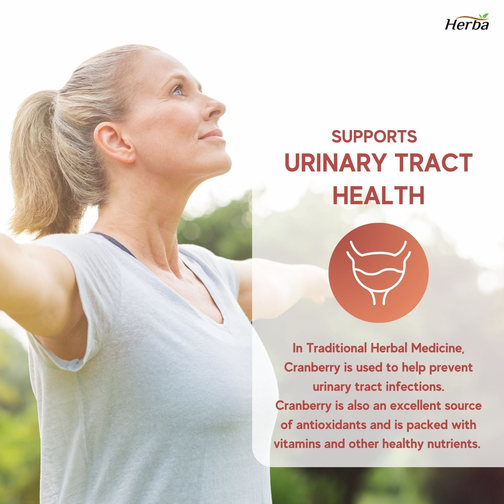 캐나다산 크랜베리 180비건캡슐 36배 농축 하루 섭취량 28800mg