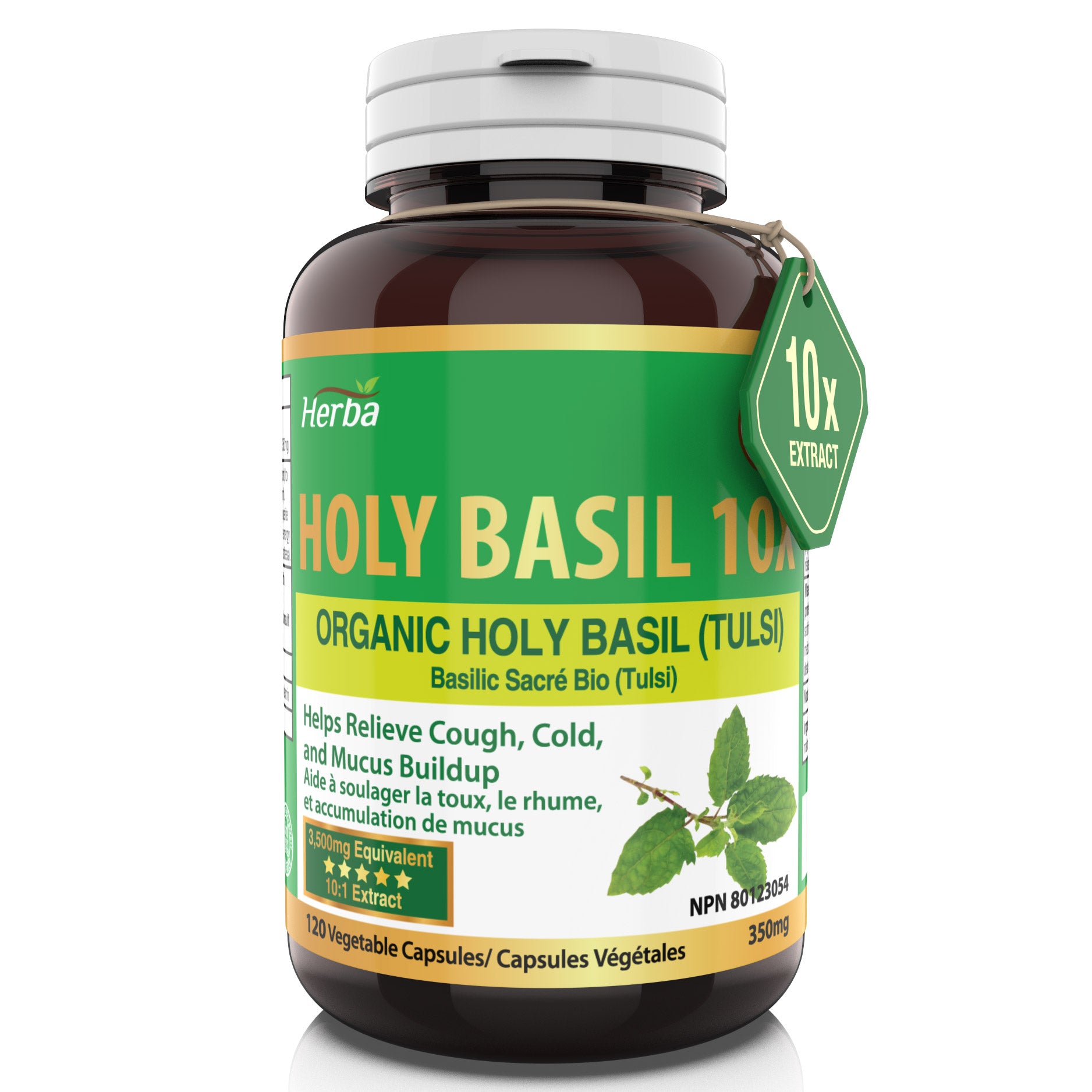 허바 유기농 홀리 바질 캡슐 – 350mg | 120 식물성 캡슐 | 3,500mg 10배 농축 홀리바질잎 추출물