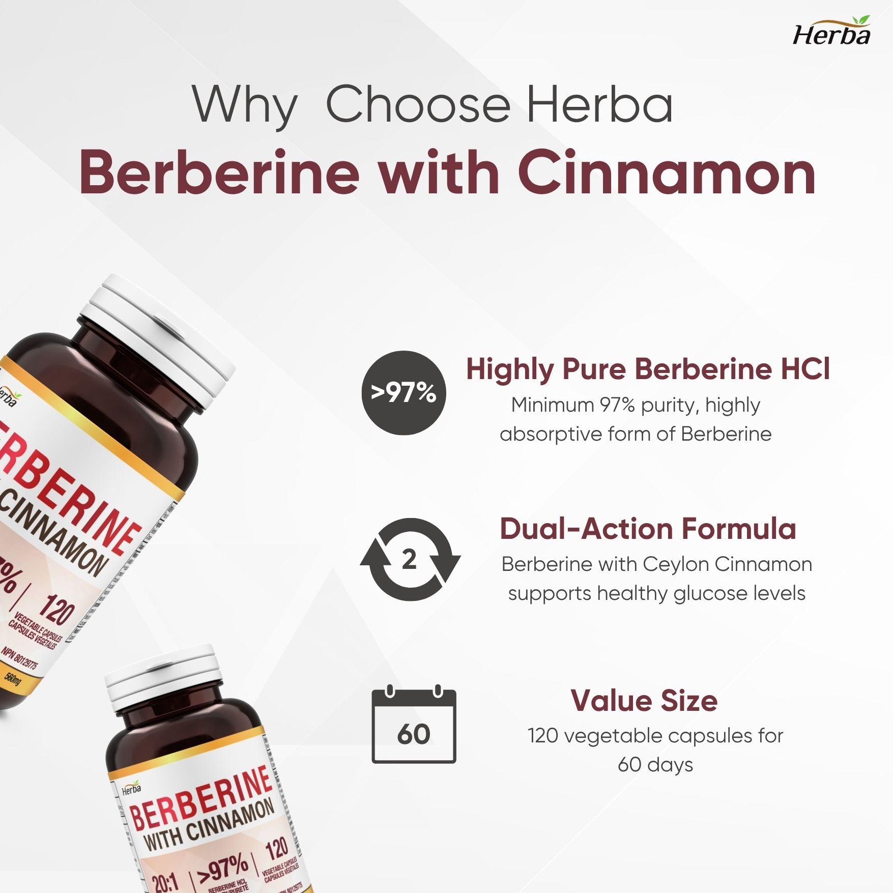 베르베린 1000mg 120식물성캡슐 실론 시나몬 추가 함유