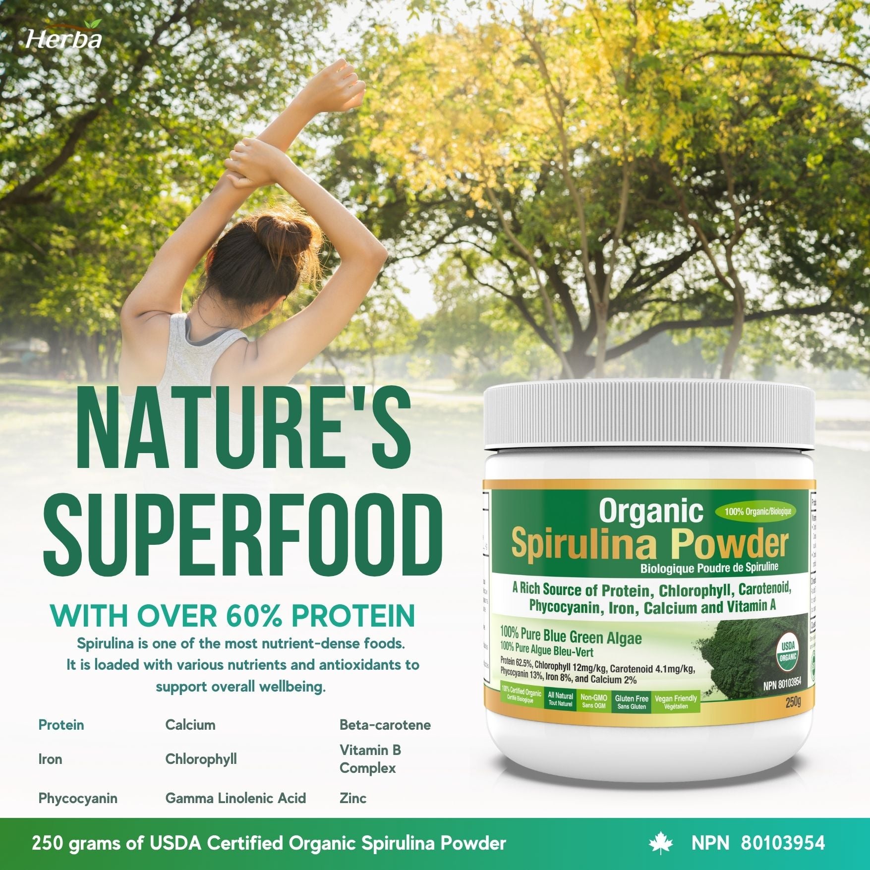 100% 유기농 스피루리나 분말 가루 250g