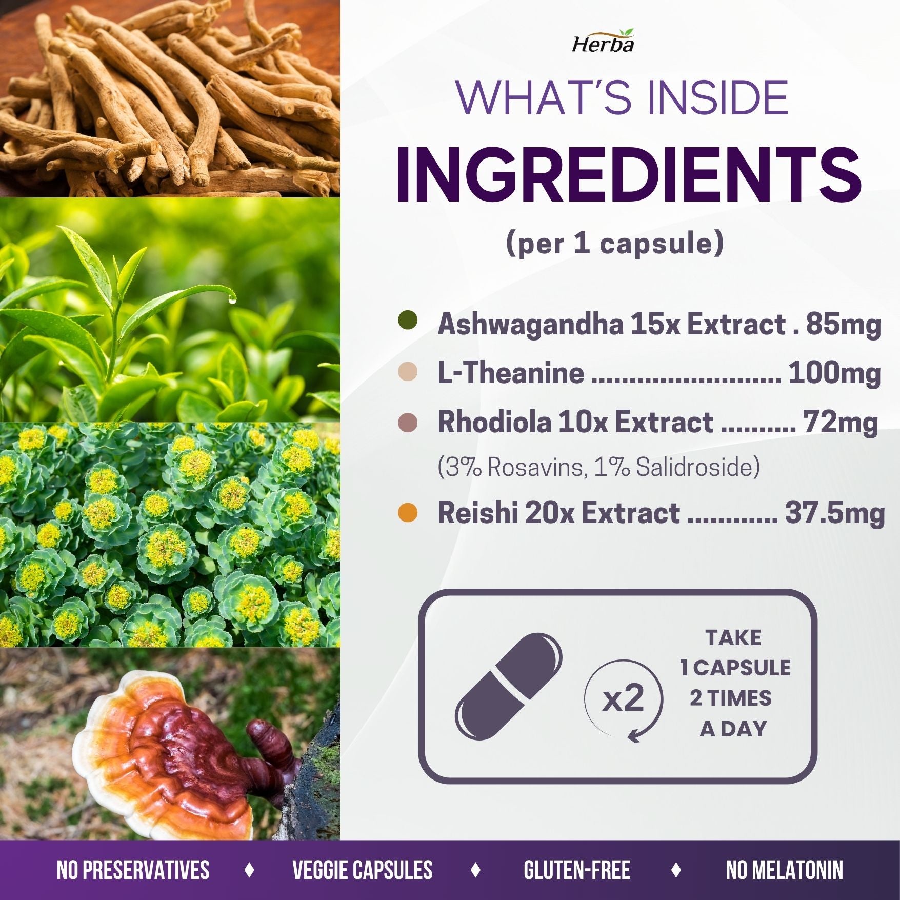 수면 영양제 60캡슐 100% 천연 성분 멜라토닌free 스트레스&슬립 릴리프