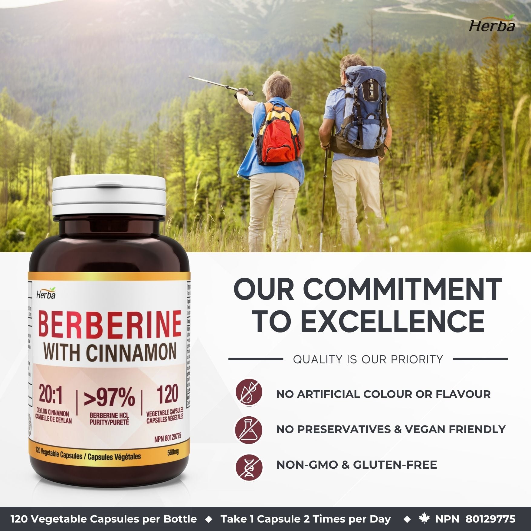 베르베린 1000mg 120식물성캡슐 실론 시나몬 추가 함유