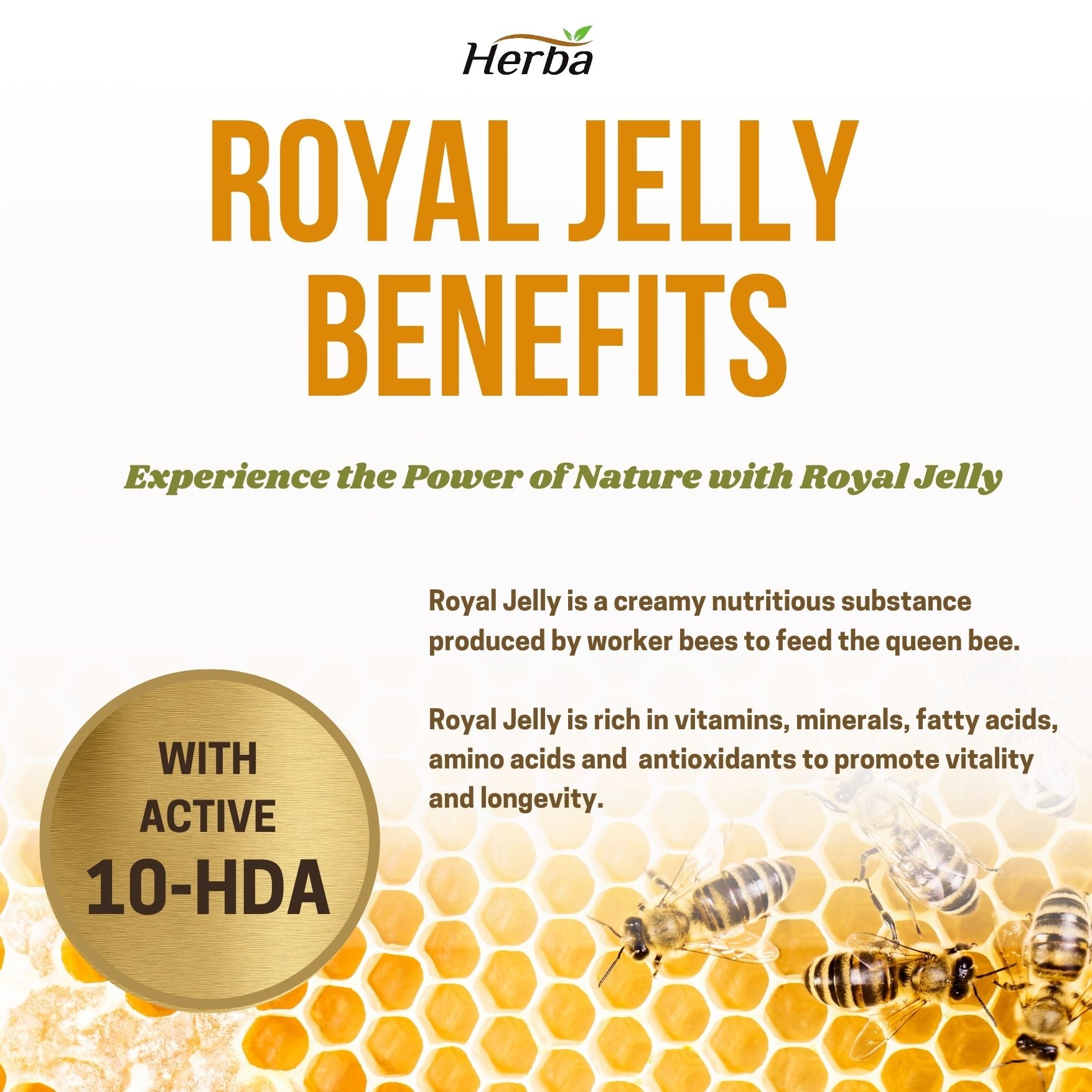100% 자연산 로얄제리 2000mg 200캡슐 10-HDA(하이드록시데덴산) 함유 로얄젤리