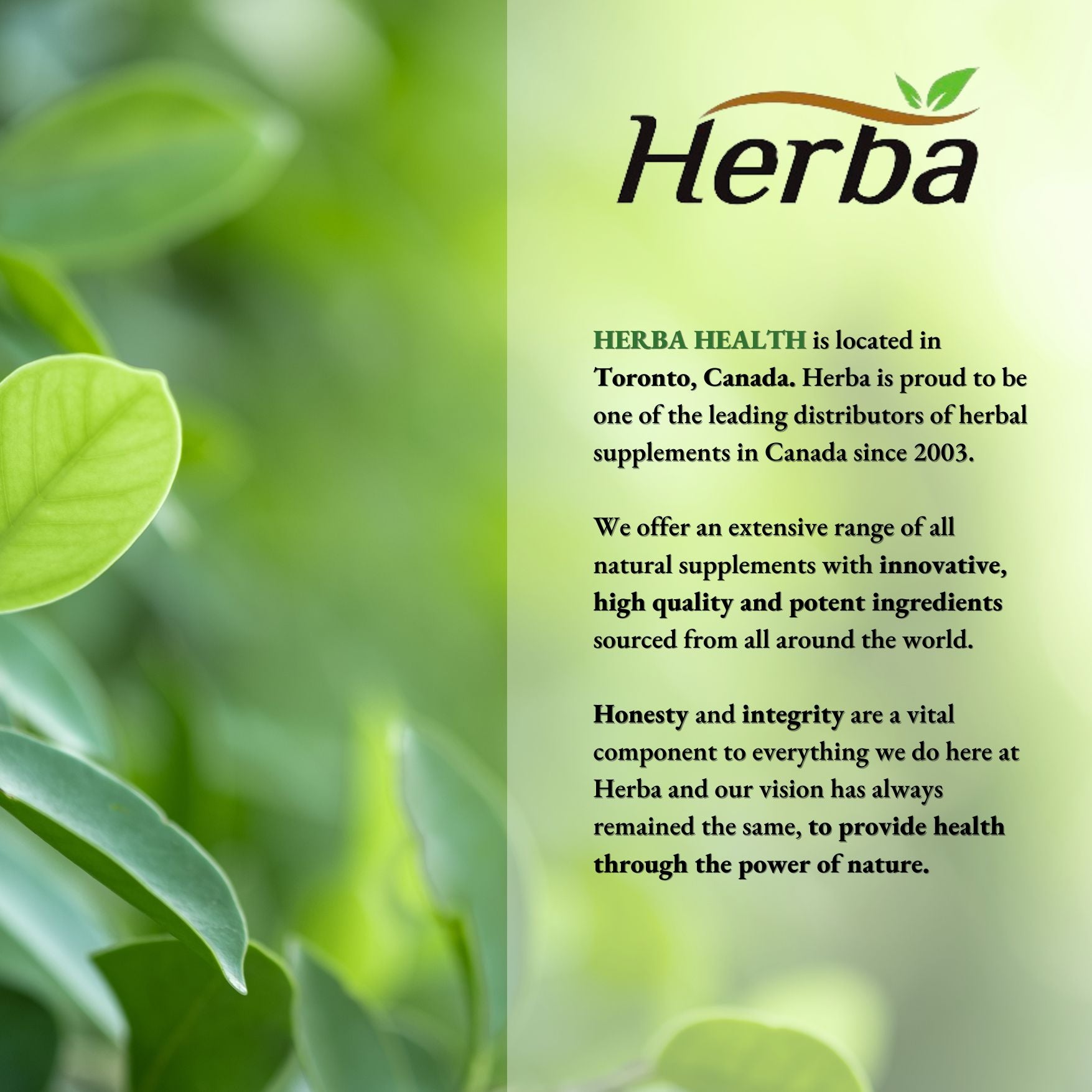 마그네슘 타우레이트 500mg 180캡슐