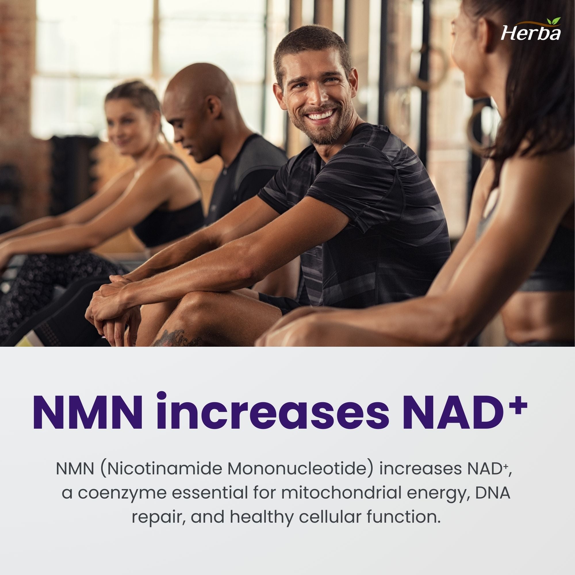 NMN 500mg 30베지캡슐 + 레스베라트롤 100mg 추가 함유