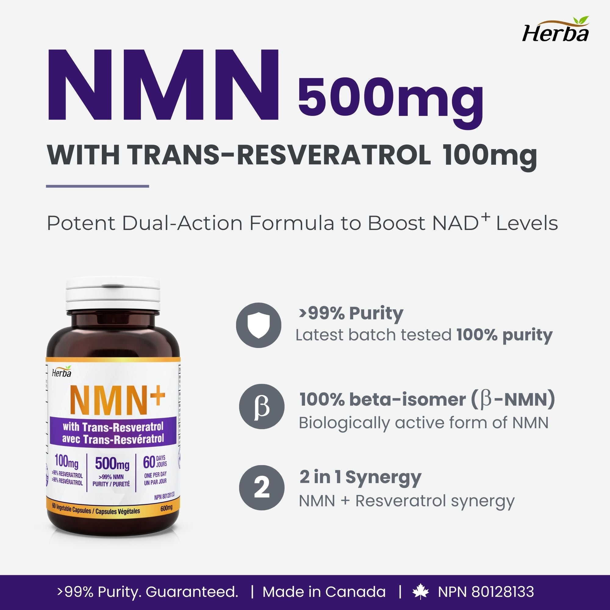 NMN 500mg 60캡슐 레스베라트롤 추가 함유