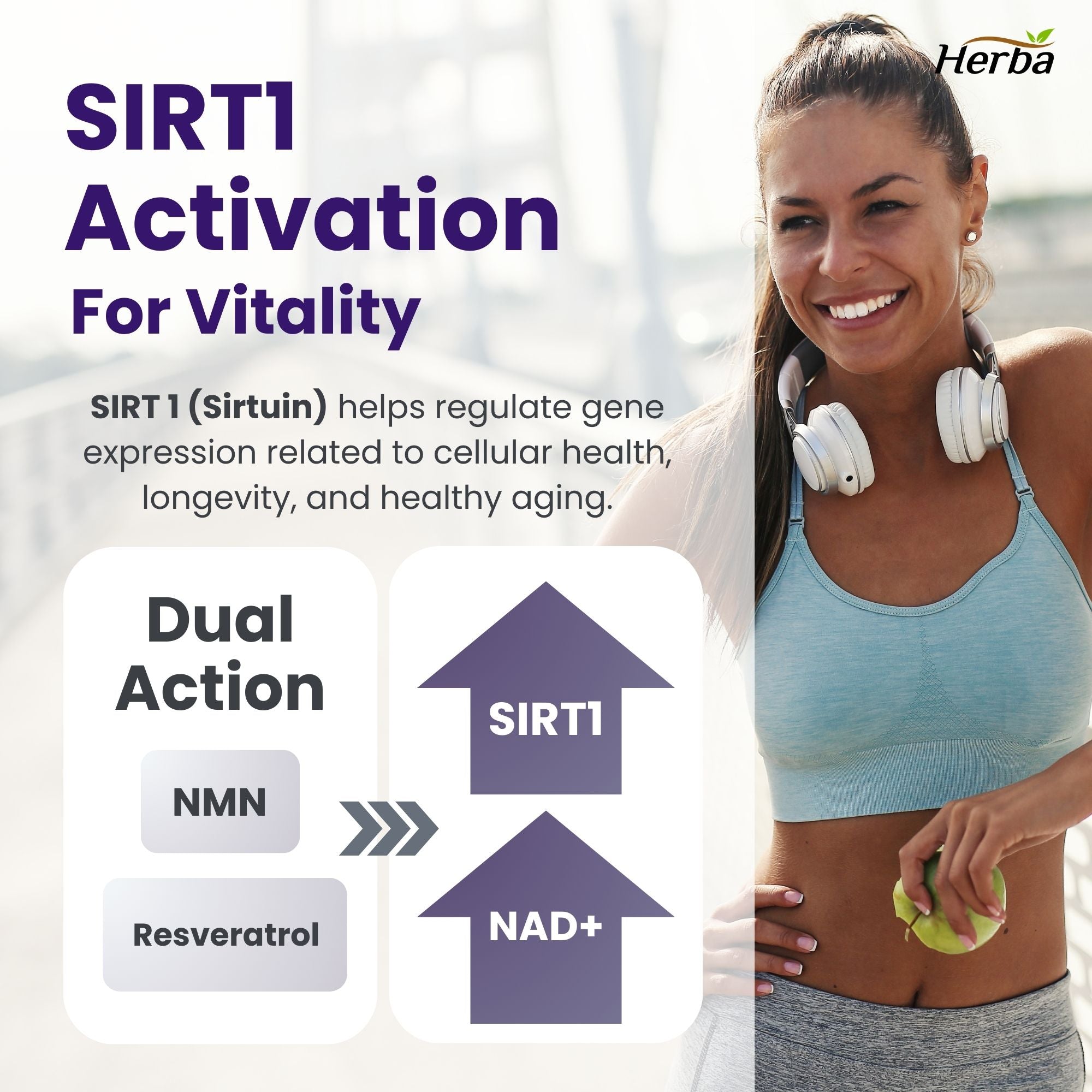 NMN 500mg 30베지캡슐 + 레스베라트롤 100mg 추가 함유