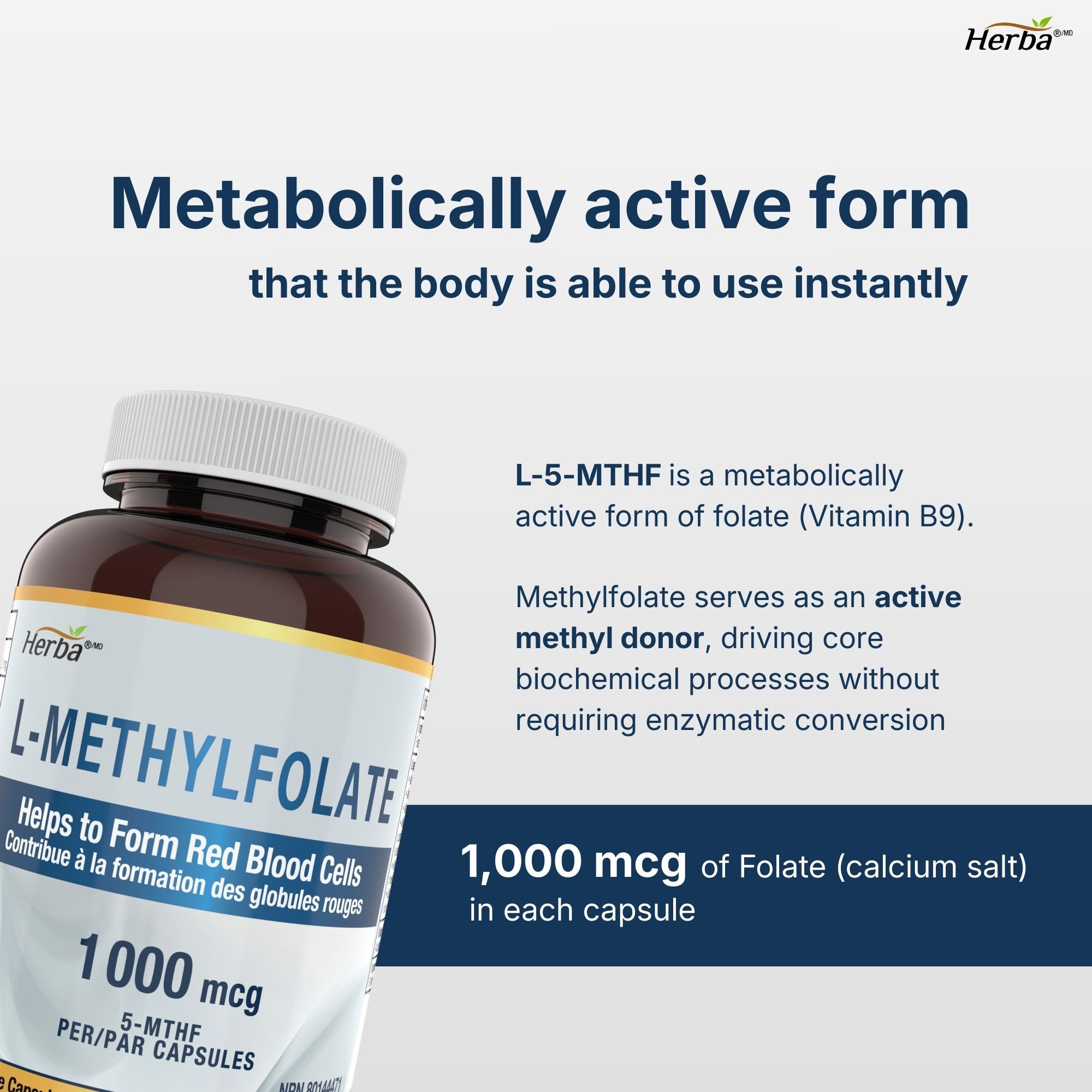 활성형 엽산 1000mcg - 180 캡슐 L 메틸 엽산 비타민 B9 5-MTHF 엽산 임산부 영양제 | 캐나다산