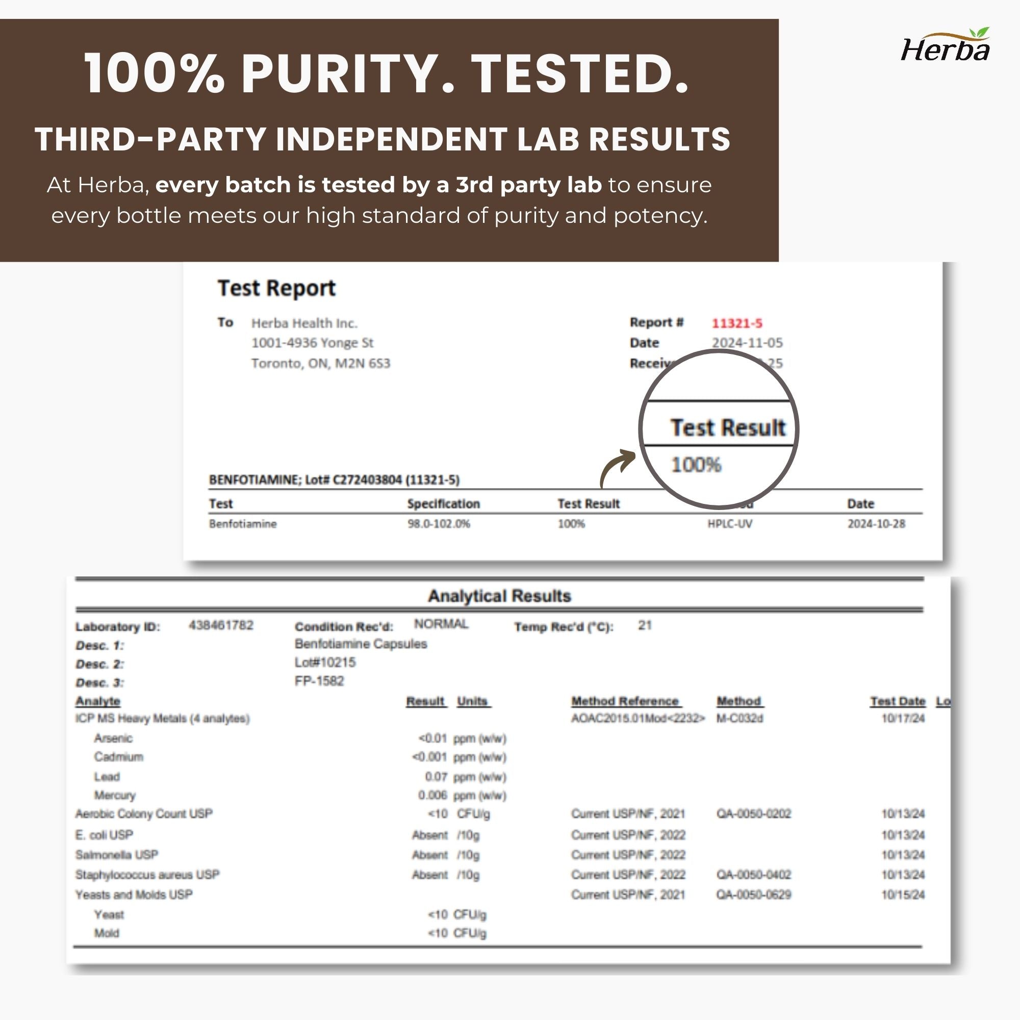 Herba 벤포티아민 100mg - 120 캡슐 | 지용성 비타민 B1 | 캐나다산