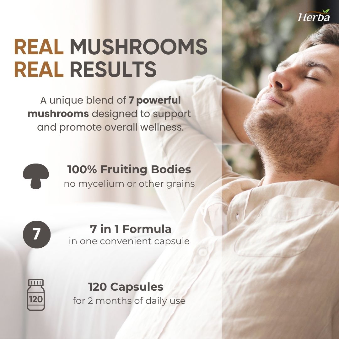 버섯 영양제 1280mg 120캡슐 영지버섯 동충하초 마이타케 7가지 버섯다당체 면역