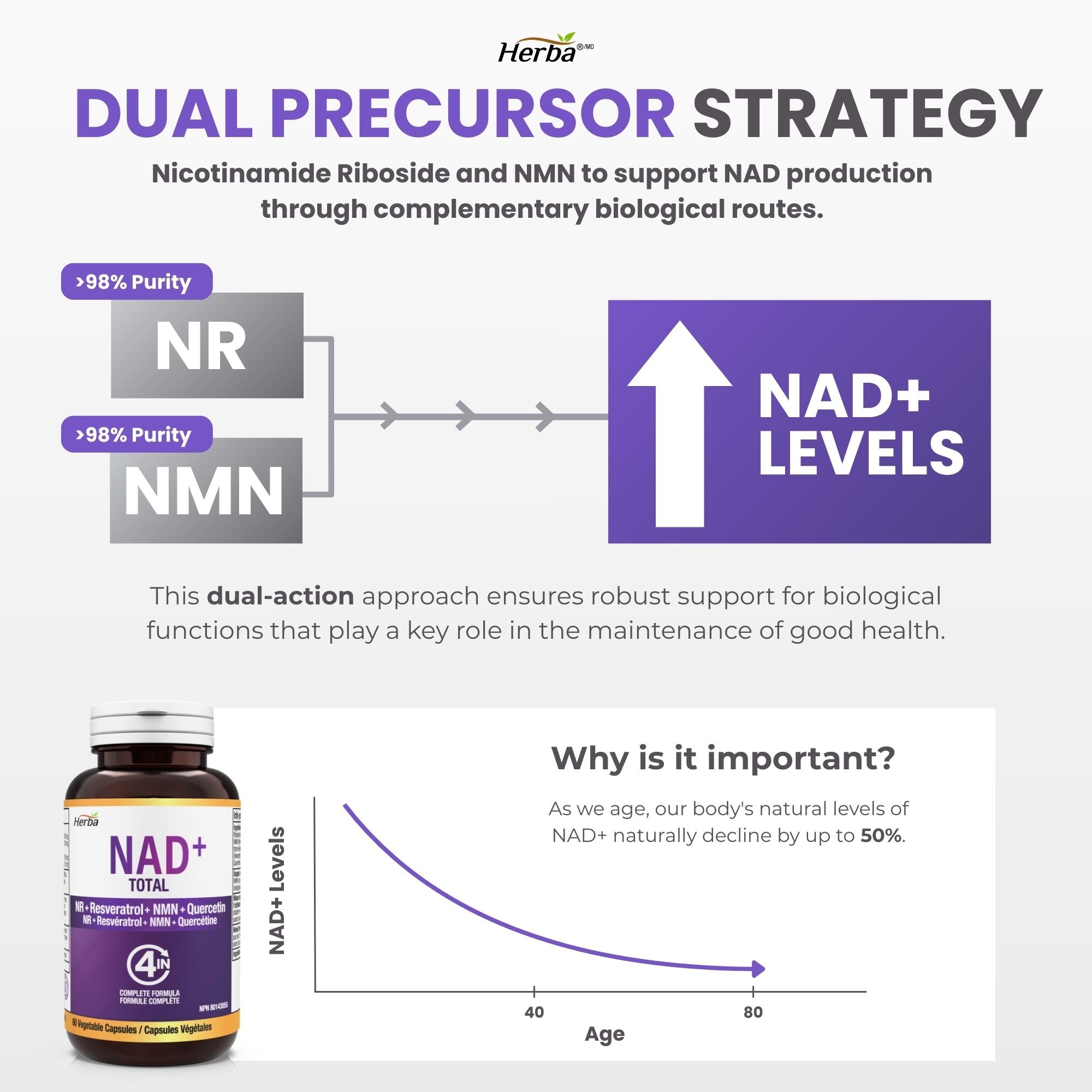 NAD+ 550mg – 60캡슐 | 니코틴아미드 리보사이드(NR) 300mg , NMN 100mg, 레스베라트롤100mg, 퀘르세틴50mg을 함유한 4-in-1 NAD 플러스 토탈 | 캐나다산