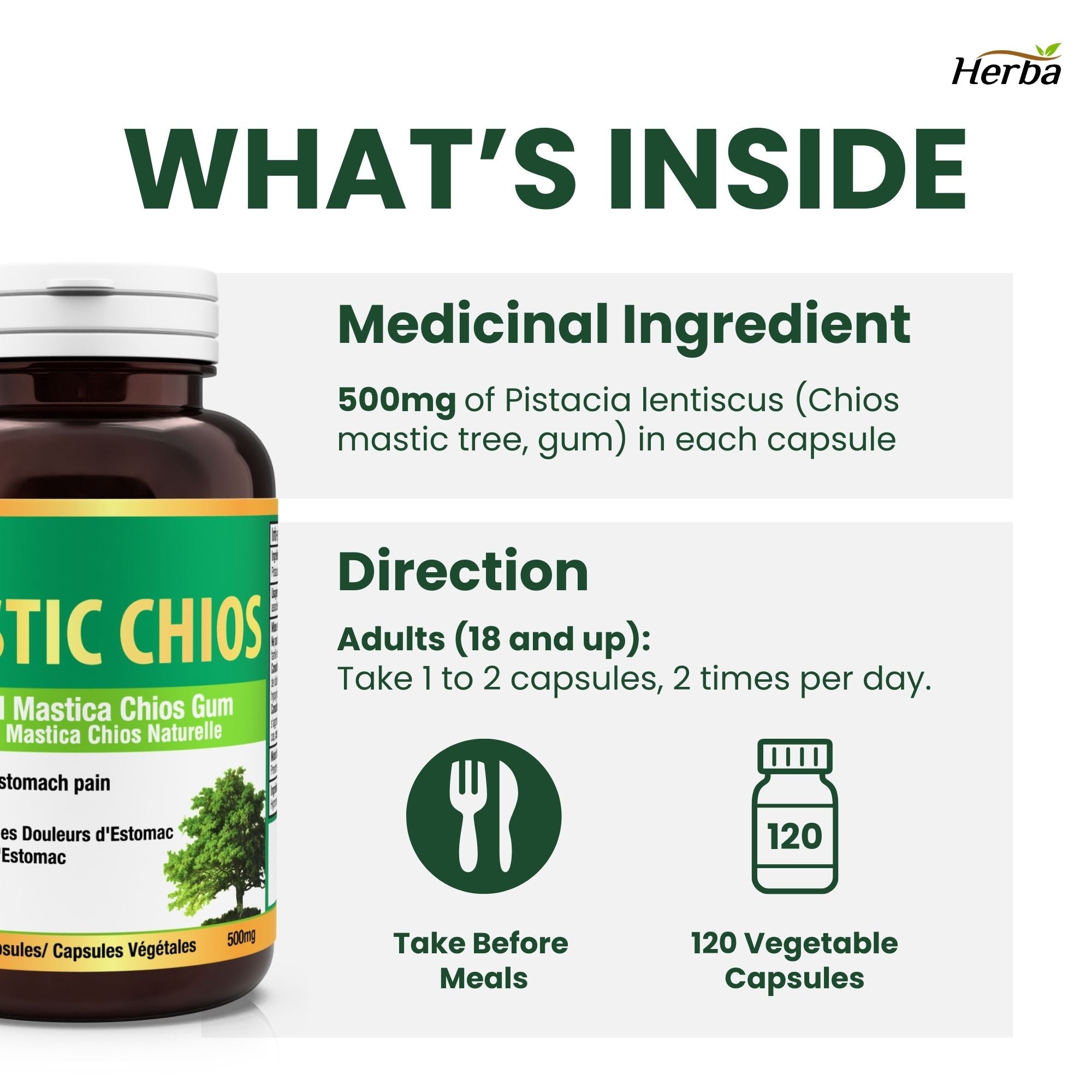 매스틱 검 500mg 120 캡슐