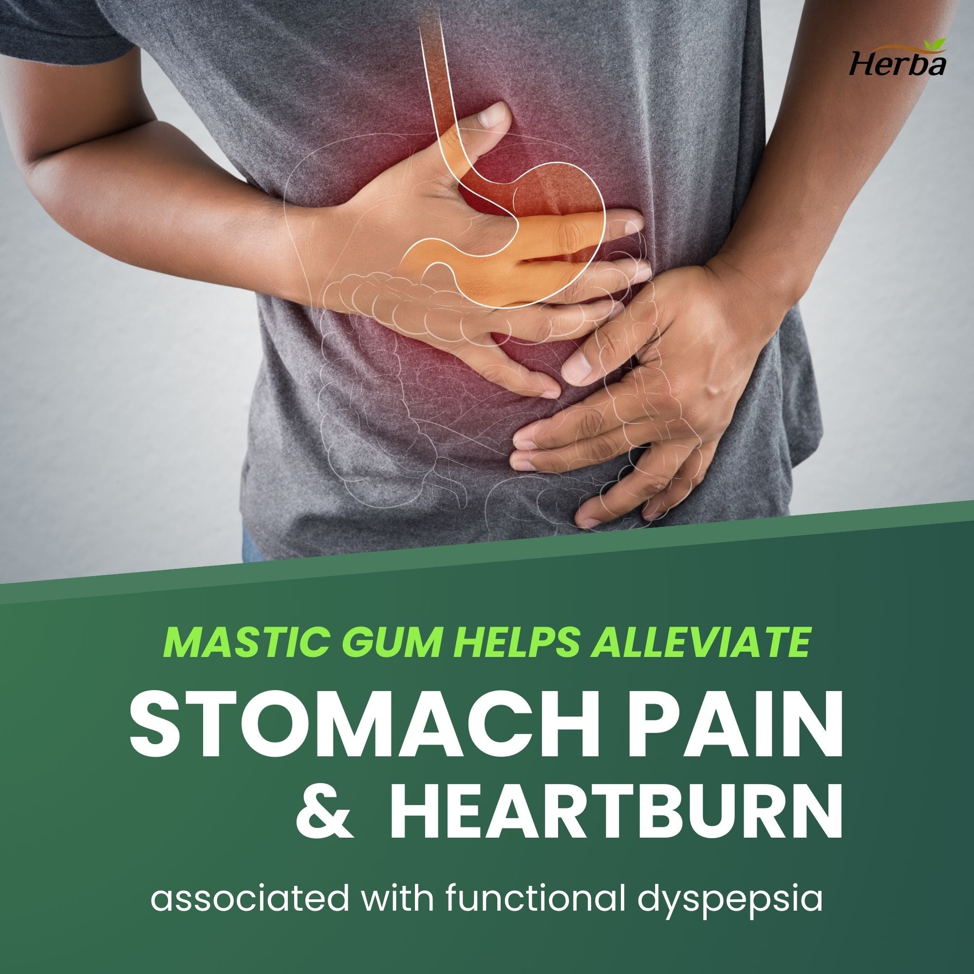 매스틱 검 500mg 120 캡슐