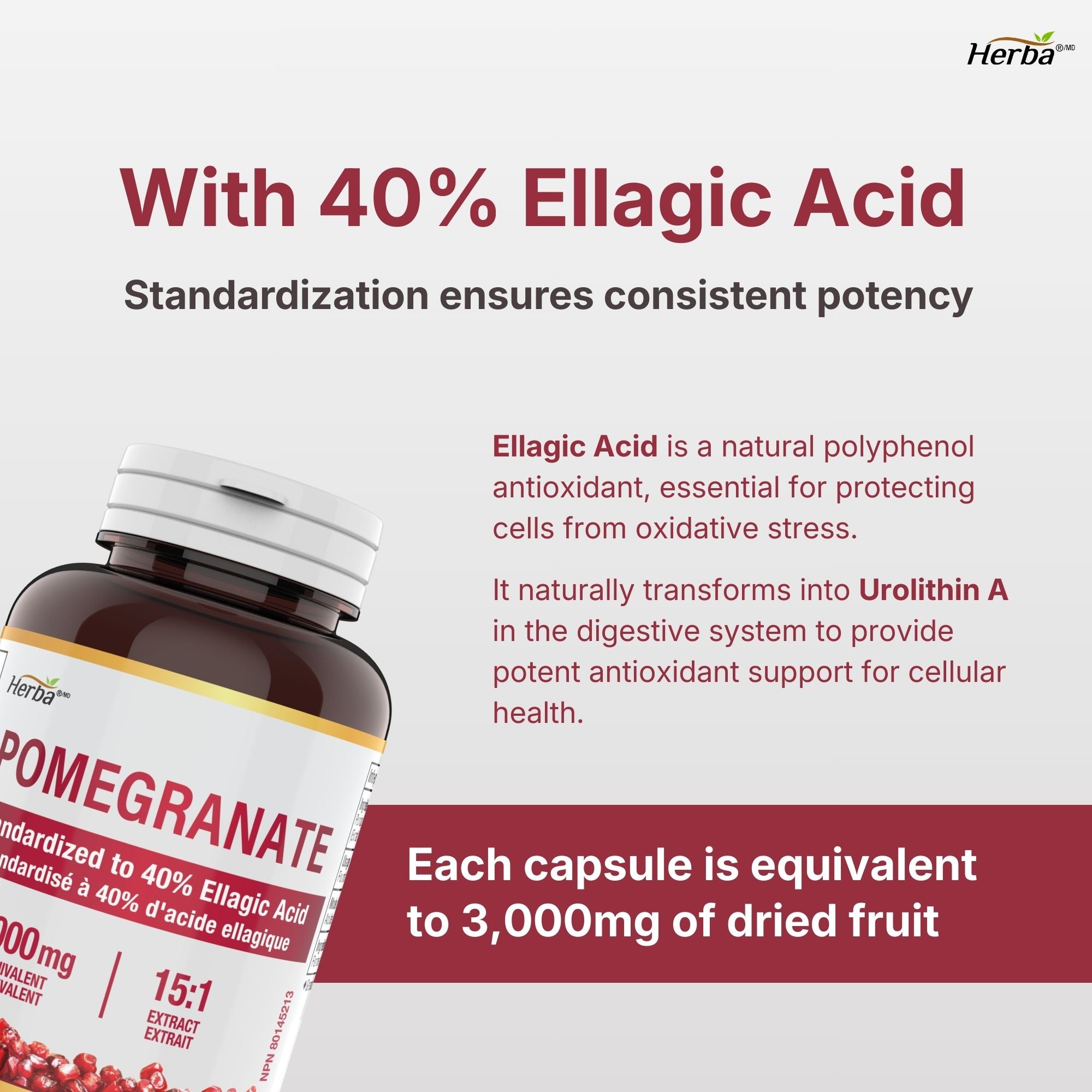 석류 영양제 3000mg – 캡슐 180정 | 엘라그산 40% | 캐나다산