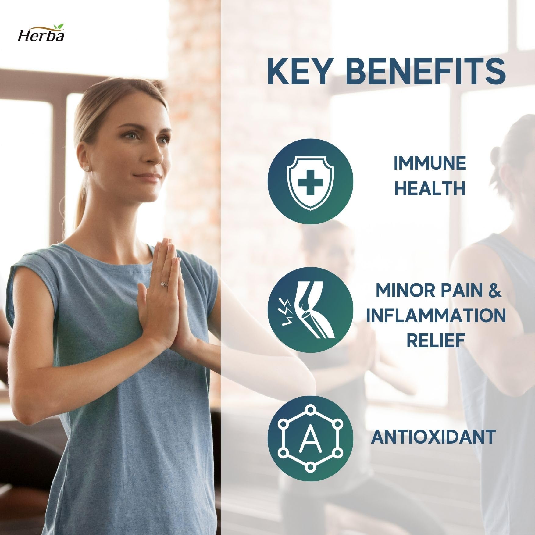 Quercetin with Bromelain, Zinc & Copper - 180 Capsules - Herba