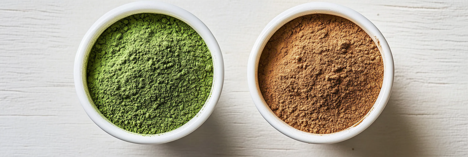 Moringa Powder vs Extract: Why The Color Difference and Which Should You Choose?