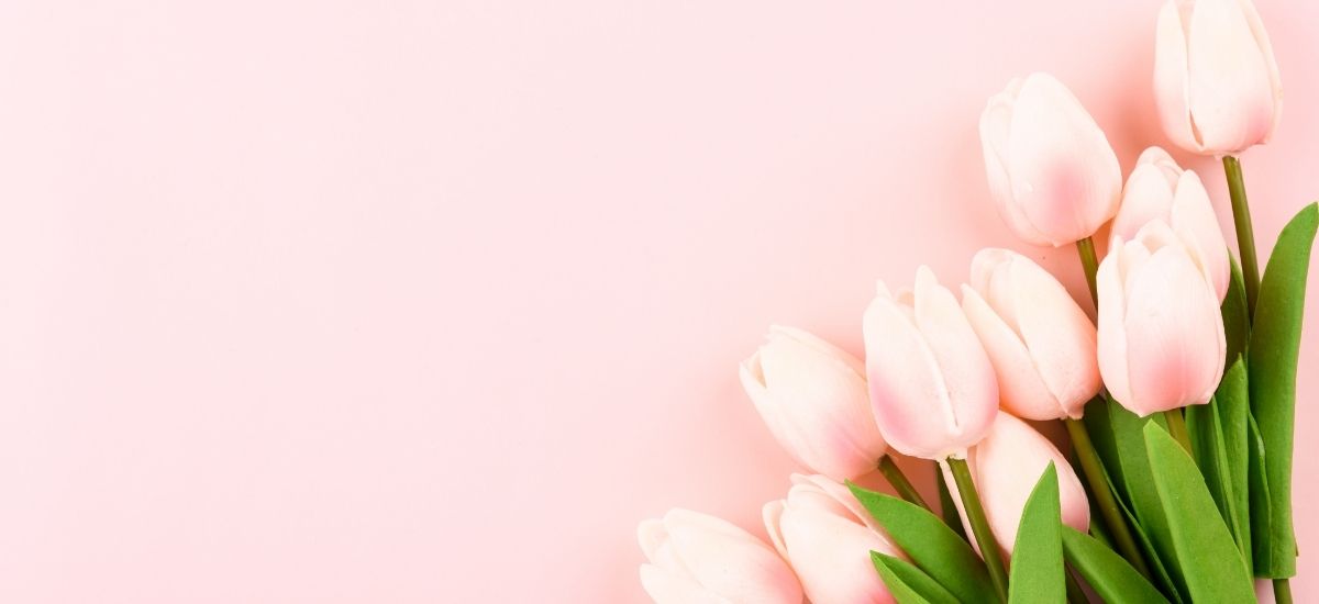 Mother's Day Collection