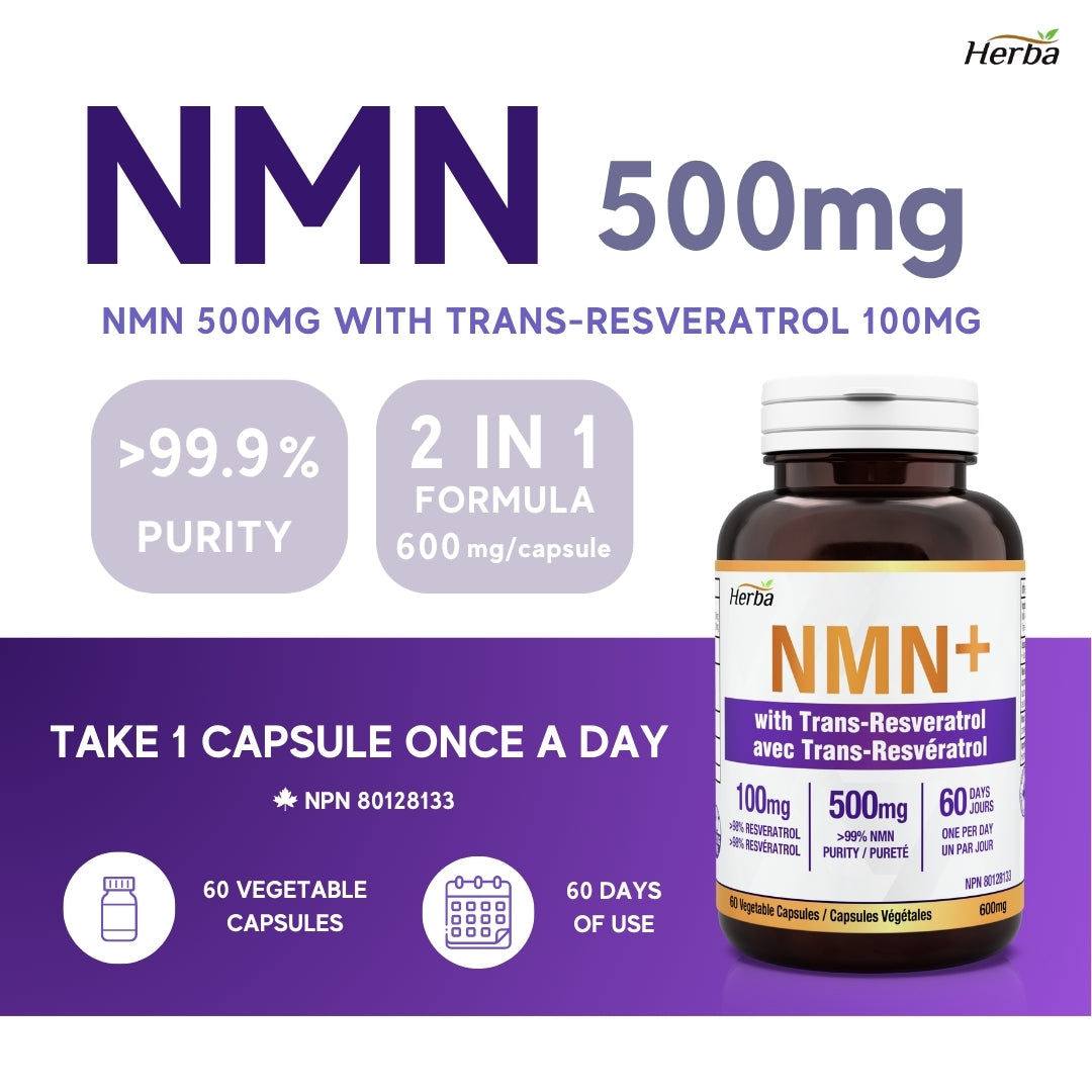 NMN 500mg 60캡슐 레스베라트롤 추가 함유