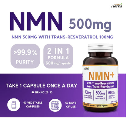 NMN 500mg 60캡슐 레스베라트롤 추가 함유