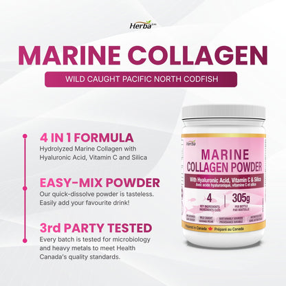 New 마린 피쉬 콜라겐 분말 가루 파우더 305g 히알루론산, 비타민C,실리카 함유