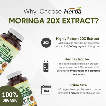 Organic Moringa Extract Capsules 10,000mg - 180 Capsules | 20:1 Extract | Made in Canada