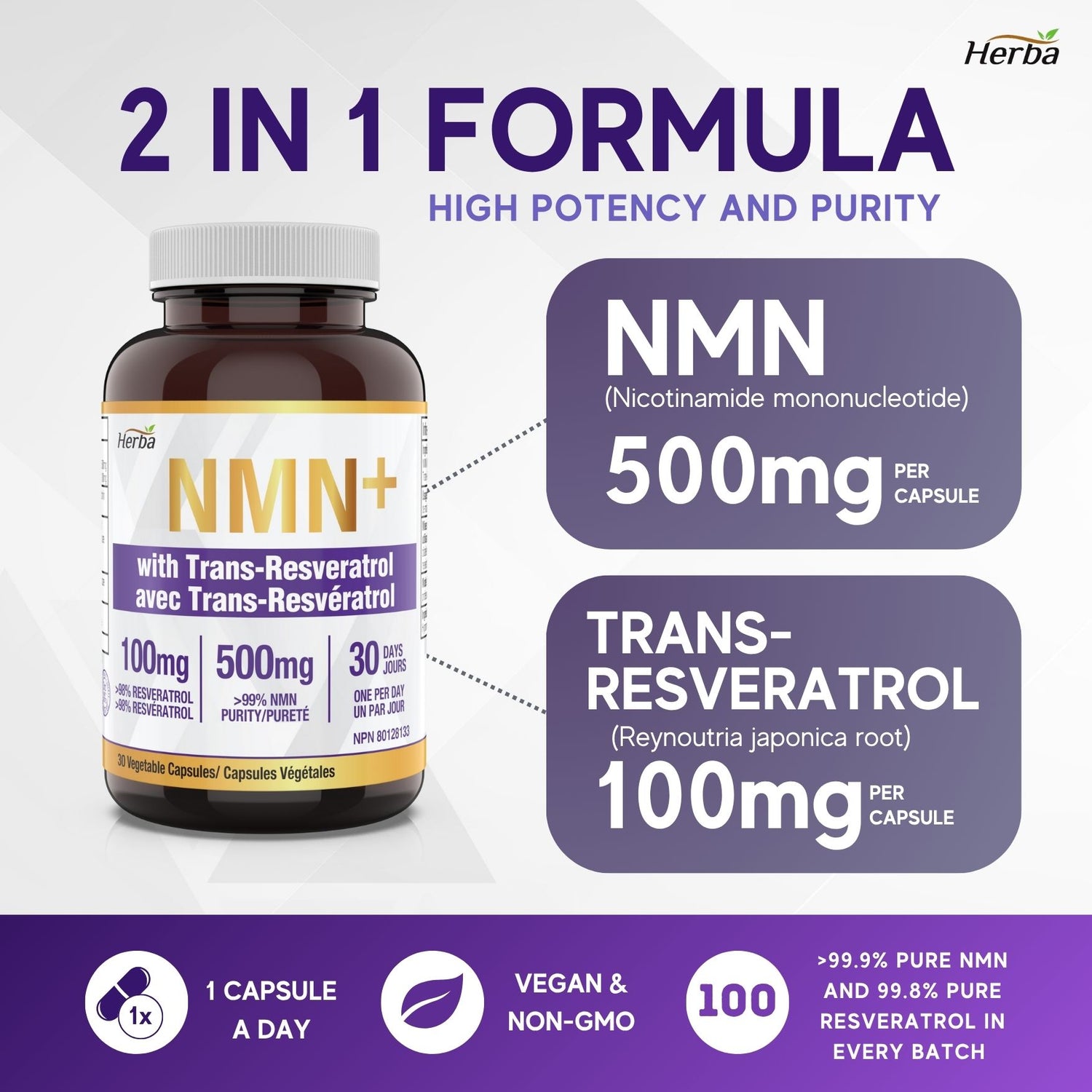 NMN 500mg 30베지캡슐 + 레스베라트롤 100mg 추가 함유