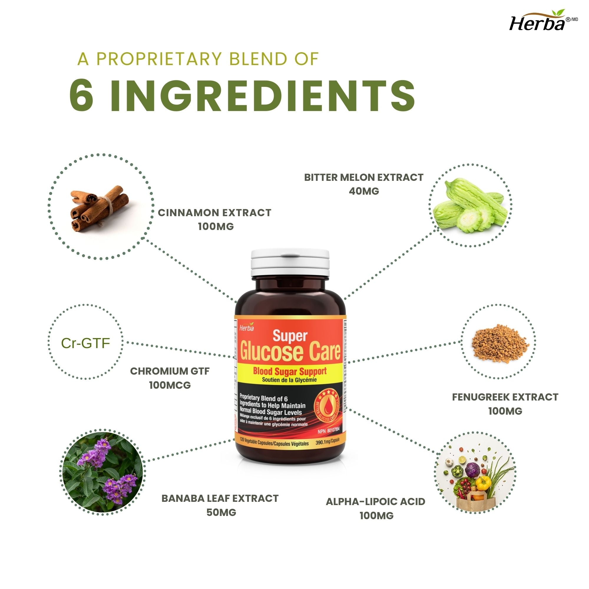 혈당케어 120캡슐 바나바잎 포함 총 6가지 성분배합 글루코스 케어