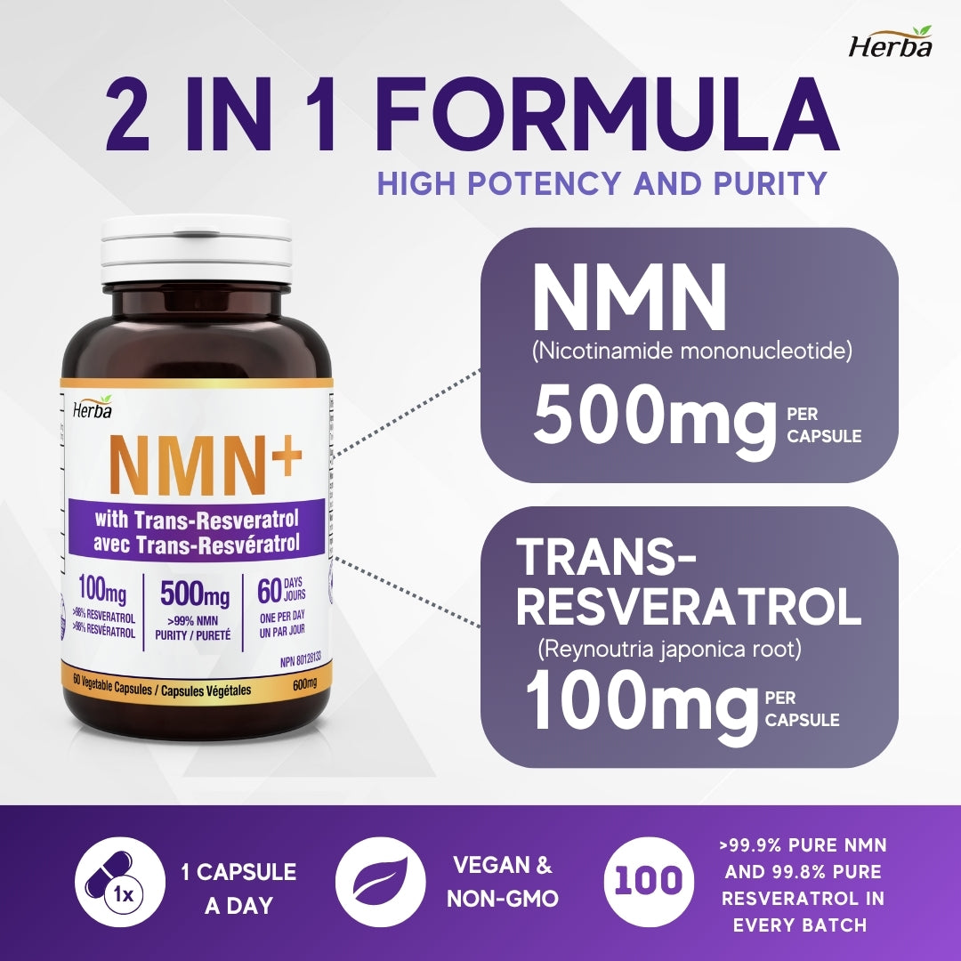 NMN 500mg 60캡슐 레스베라트롤 추가 함유