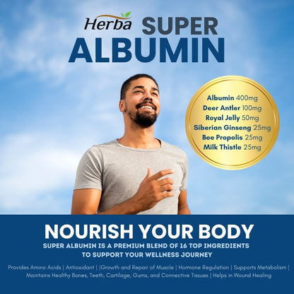 고함량 알부민 240캡슐 녹용, 로얄젤리, 밀크씨슬 등 총 16가지 프리미엄 성분