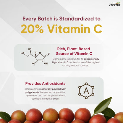 카무카무 캡슐 500mg - 120캡슐 | 천연 비타민 C 20% 함유 | 캐나다산