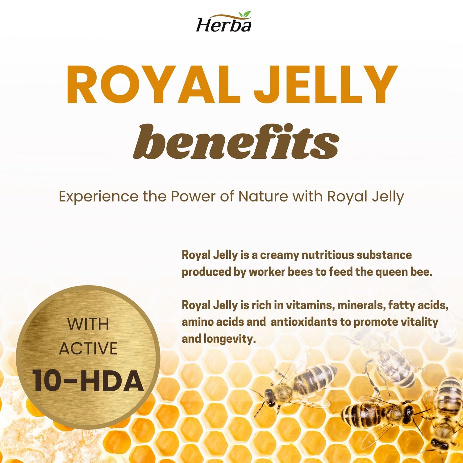 100% 자연산 로얄제리 2000mg 120캡슐 10-HDA(하이드록시데덴산) 함유 로얄젤리