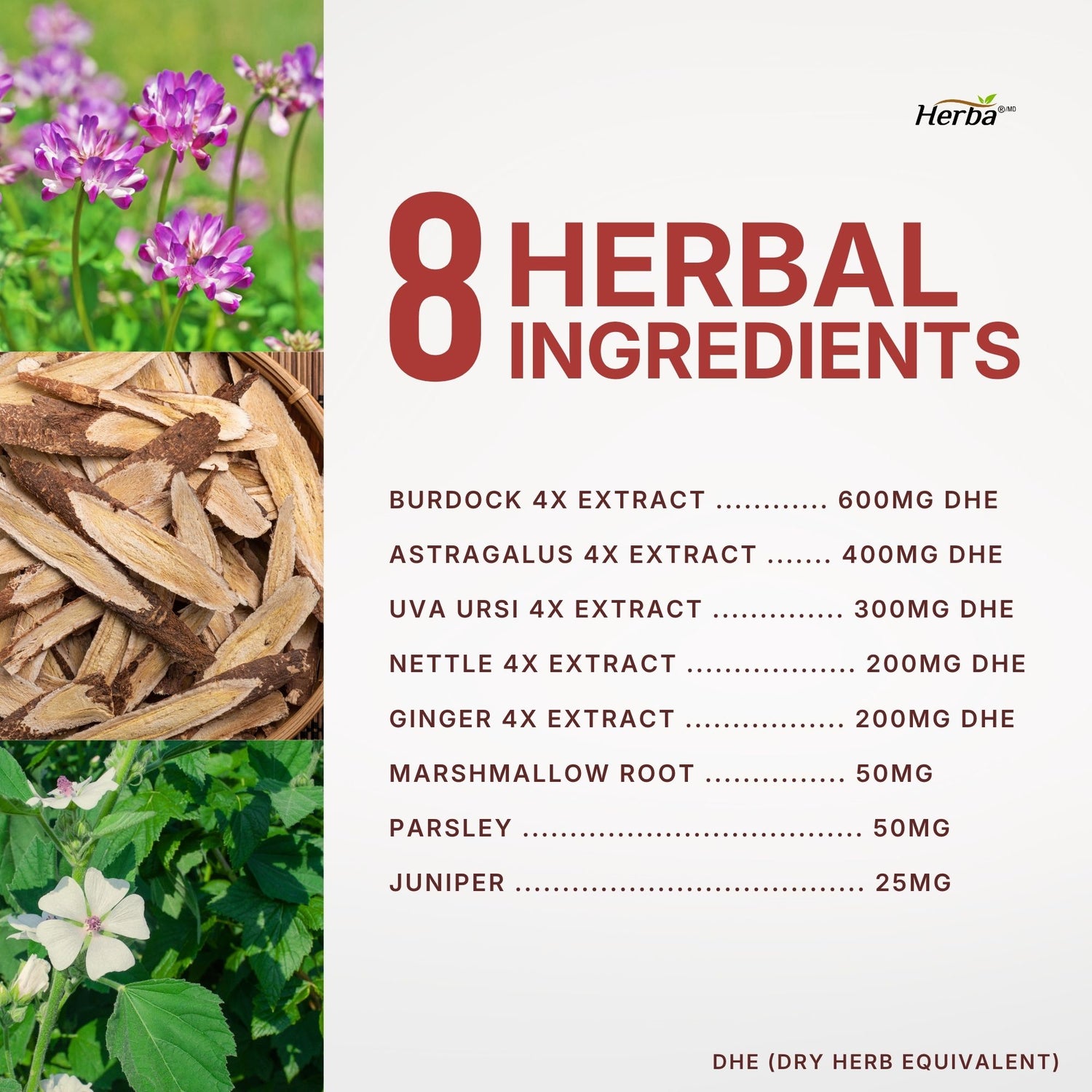 콩팥 신장 키드니 클렌즈 120식물성캡슐 100% 천연 성분 신장 방광 건강 관리