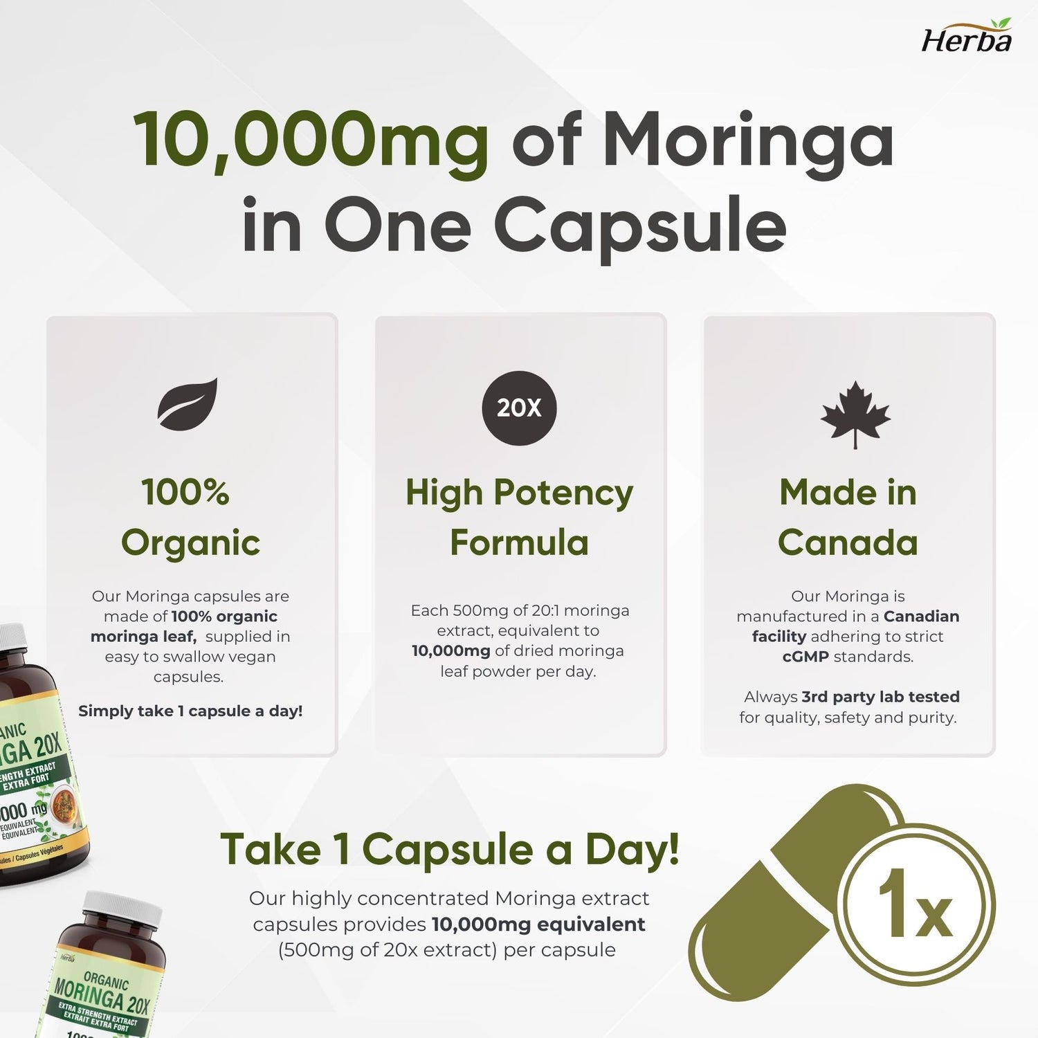 Organic Moringa Extract Capsules 10,000mg - 180 Capsules | 20:1 Extract | Made in Canada