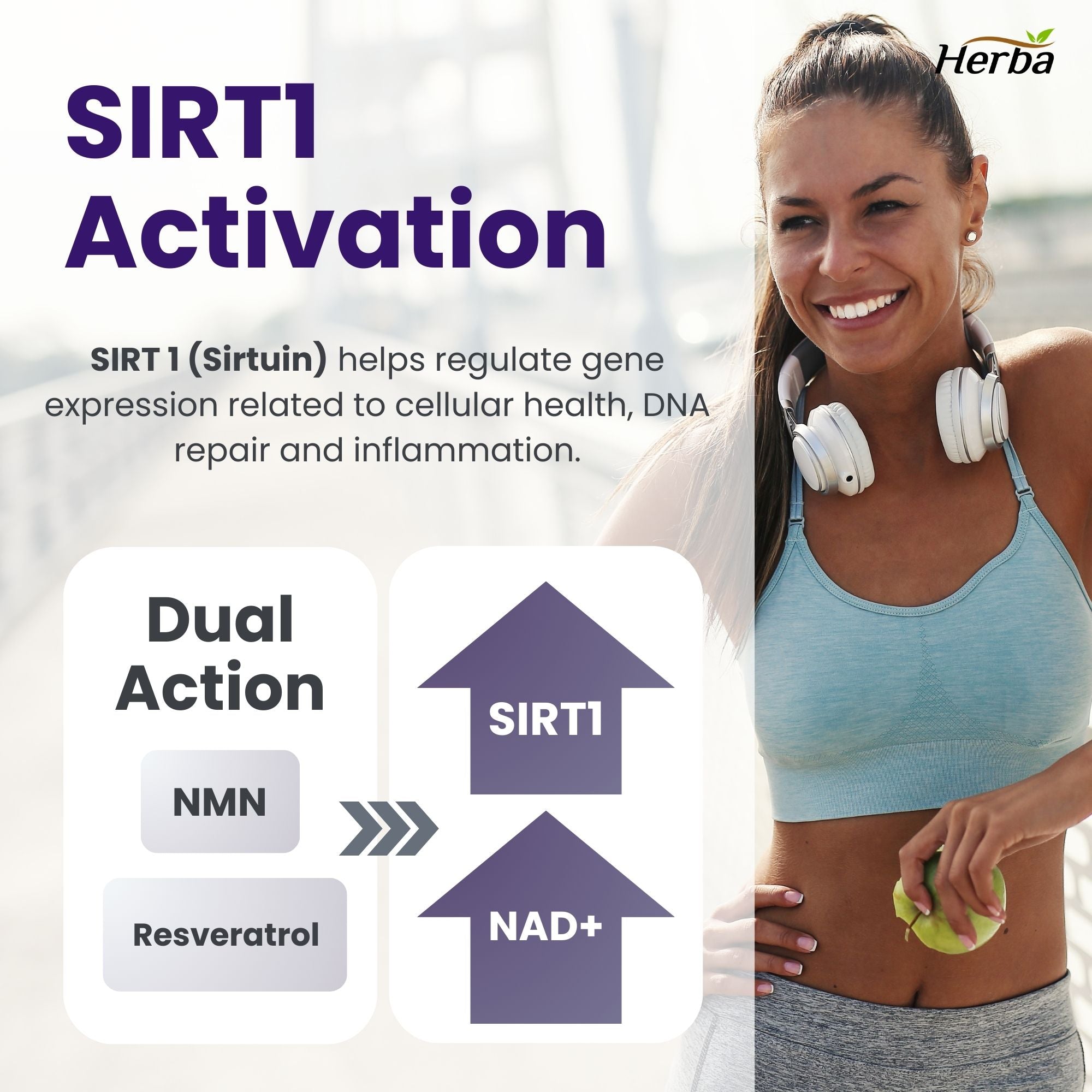 NMN 500mg 30베지캡슐 + 레스베라트롤 100mg 추가 함유