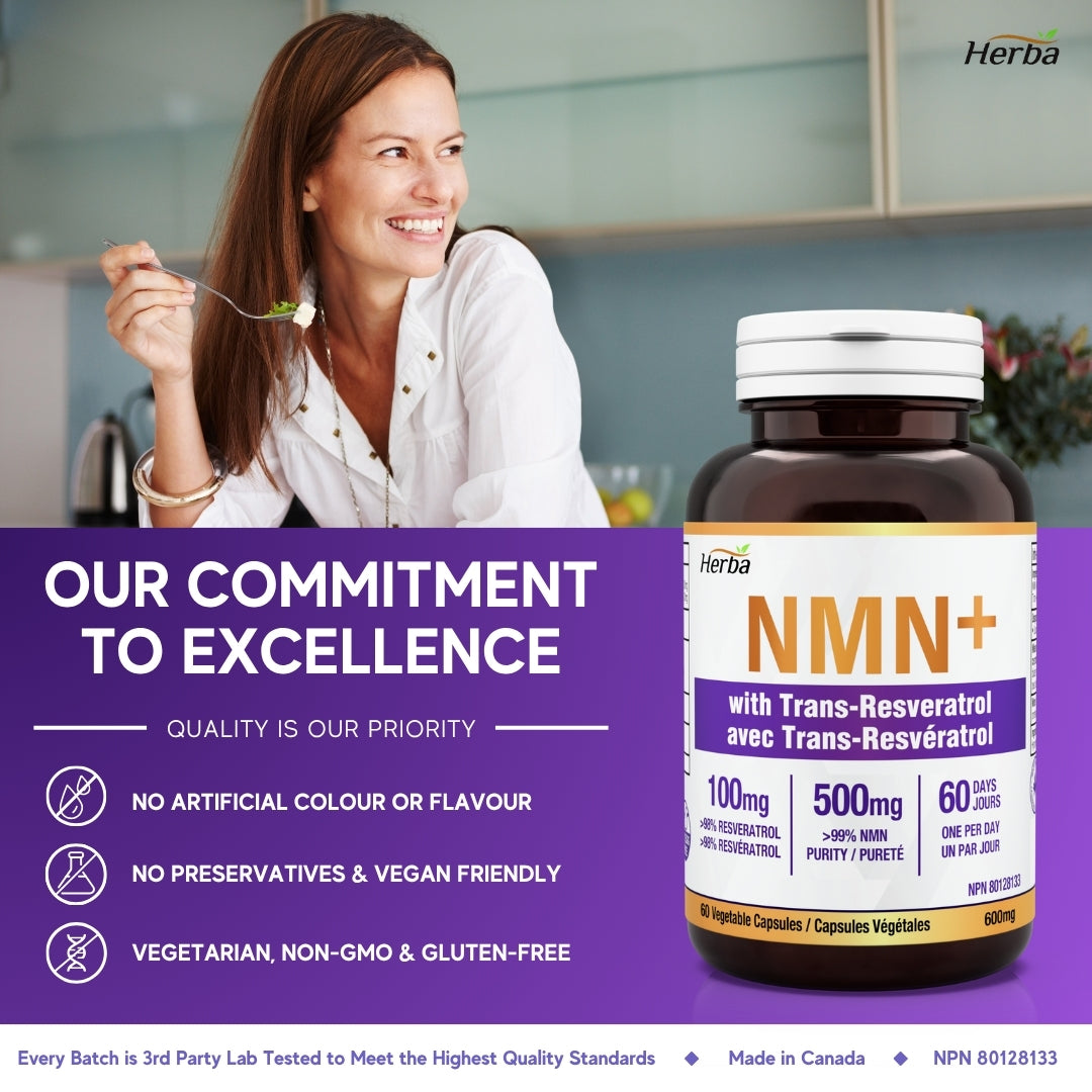 NMN 500mg 60캡슐 레스베라트롤 추가 함유