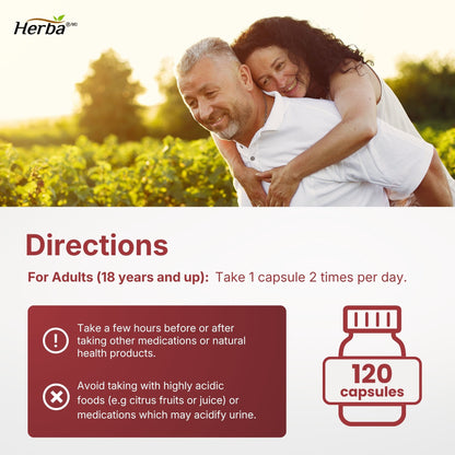 콩팥 신장 키드니 클렌즈 120식물성캡슐 100% 천연 성분 신장 방광 건강 관리