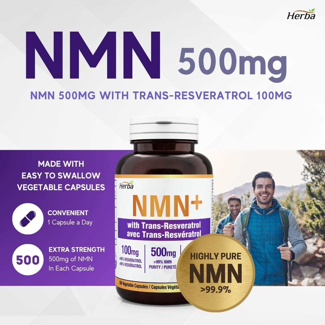 NMN 500mg 60캡슐 레스베라트롤 추가 함유