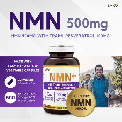 NMN 500mg 60캡슐 레스베라트롤 추가 함유