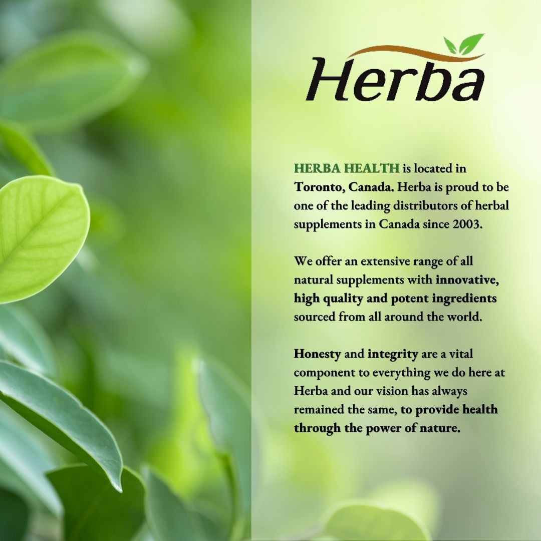 고함량 알부민 240캡슐 녹용, 로얄젤리, 밀크씨슬 등 총 16가지 프리미엄 성분