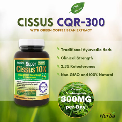 시서스 60비건캡슐 특허성분 CQR-300 100%시서스추출물 호로몬 다이어트