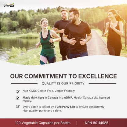 콩팥 신장 키드니 클렌즈 120식물성캡슐 100% 천연 성분 신장 방광 건강 관리