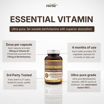 Herba 벤포티아민 100mg - 120 캡슐 | 지용성 비타민 B1 | 캐나다산