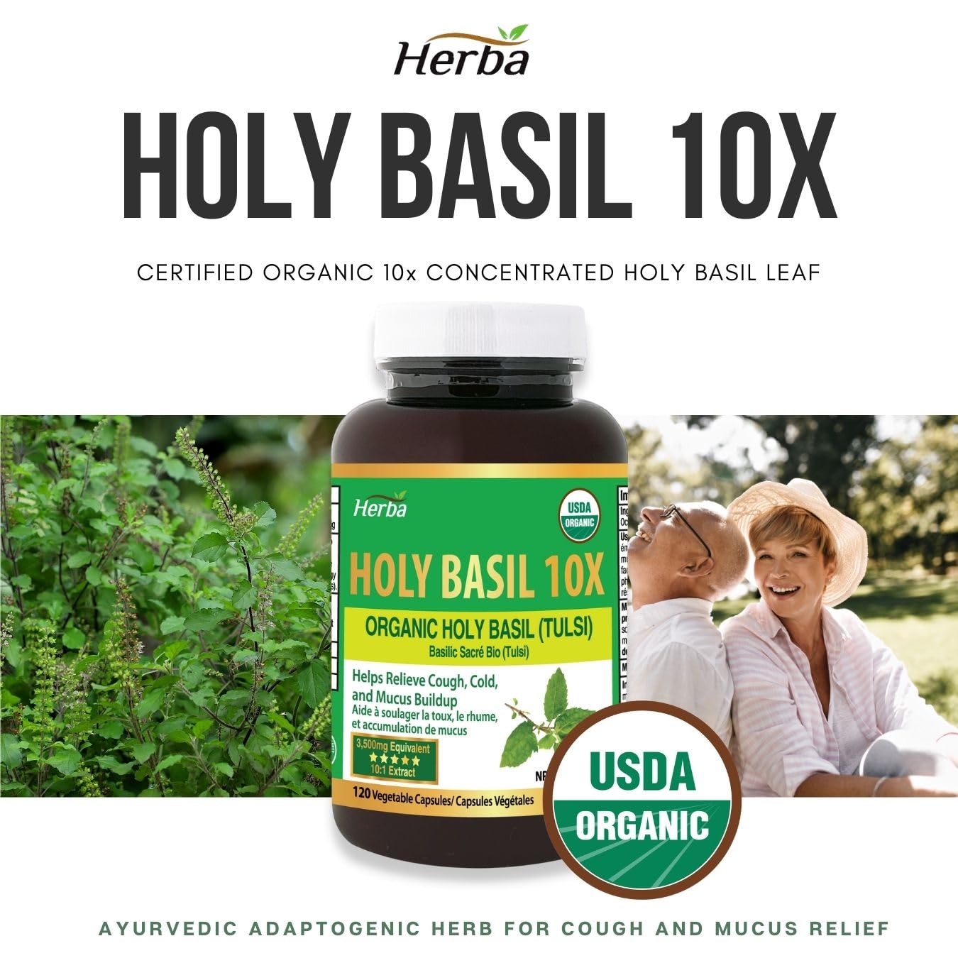 buy holy basil capsules made in Canada