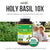 Herba 유기농 홀리 바질 캡슐 – 350mg | 120 식물성 캡슐 | 3,500mg 10배 농축 홀리바질잎 추출물