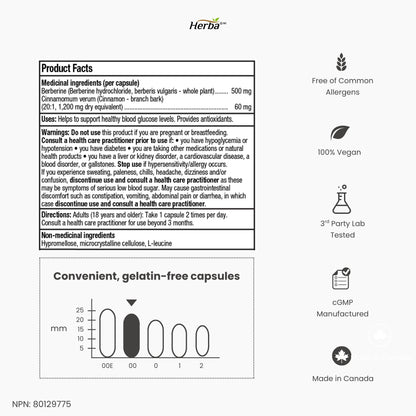 베르베린 1000mg 120식물성캡슐 실론 시나몬 추가 함유