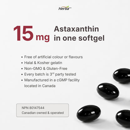 아스타잔틴 15mg - 60 소프트젤 캡슐 안구건조증 눈건강 캐나다산